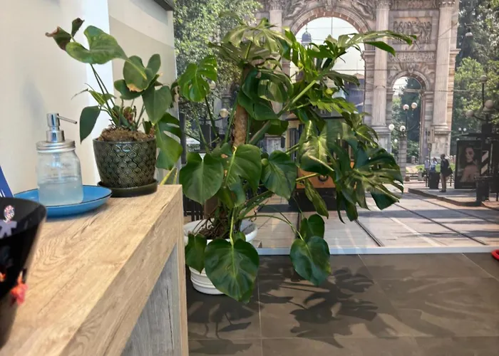 Enjoy Garden - Flavio Baracchini 9 - Rooms Milano